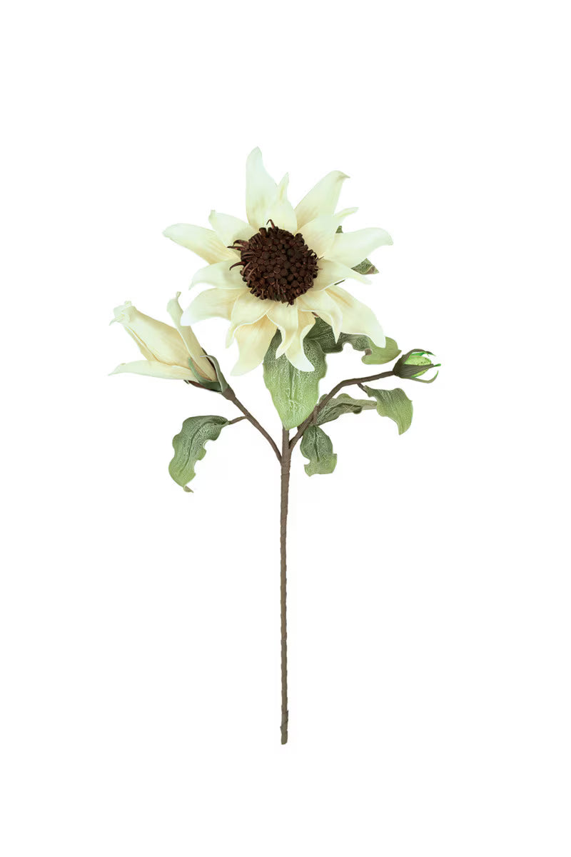 Botanica #2797