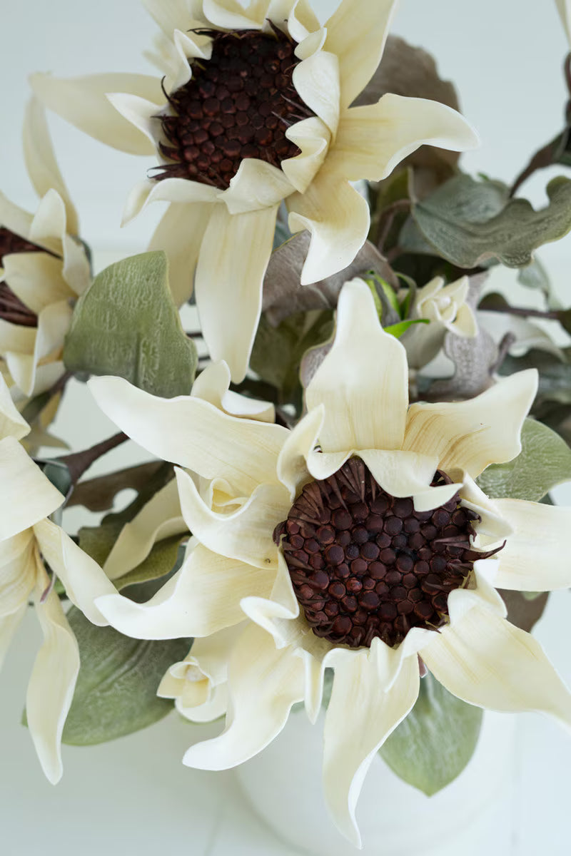 Botanica #2797