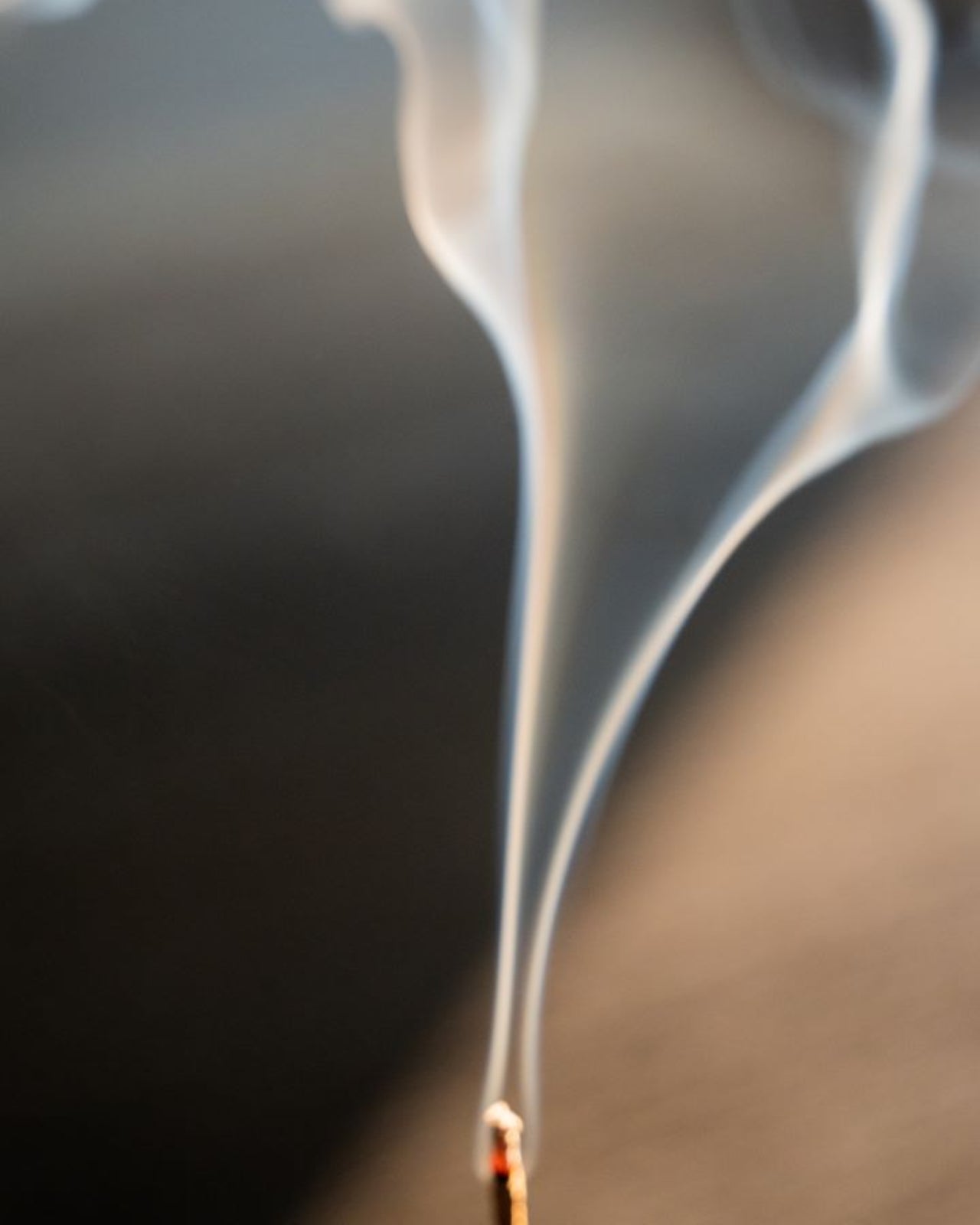 Juniper Ridge - White Sage Campfire Incense (20 Sticks)