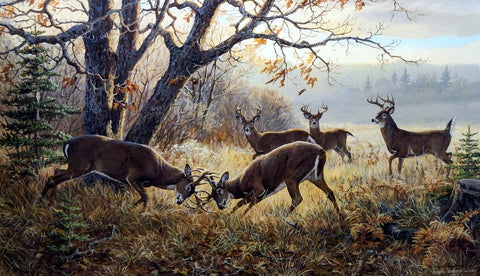 Dream Team-Whitetail Deer, Persis Clayton Weirs