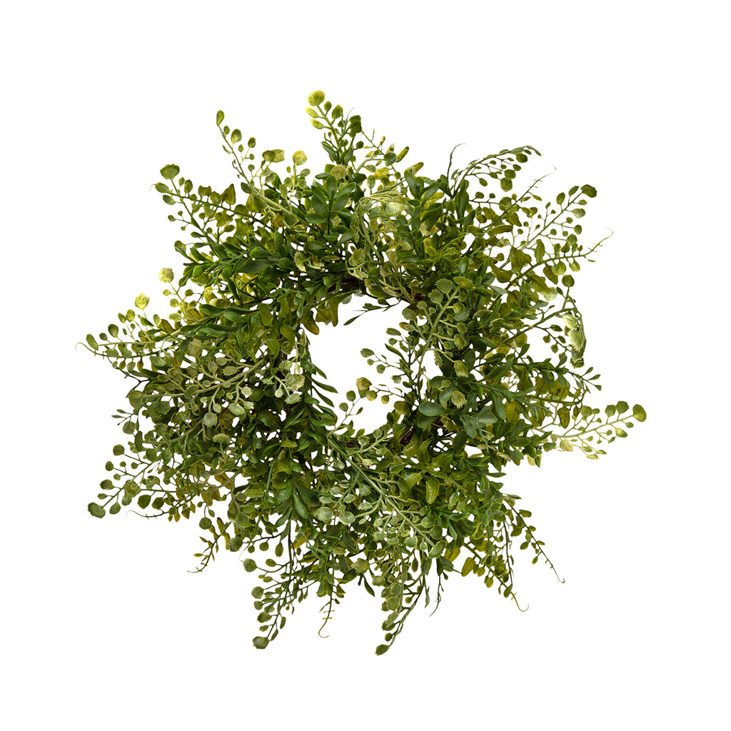 MINI WREATH MIXED MAIDENHAIR FERN