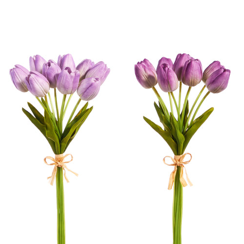 Purple Tulip bundle (15" real touch)