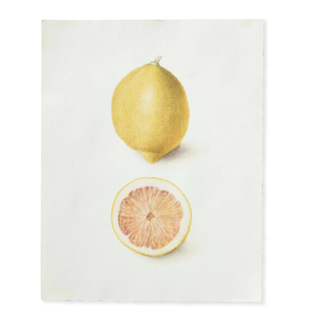 Lemon Deckled-Edge Art Print