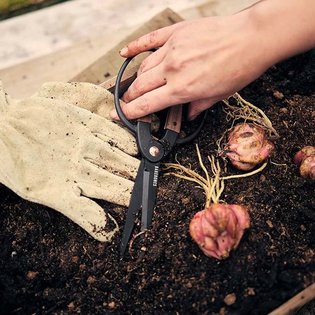 Barebones Garden Scissors