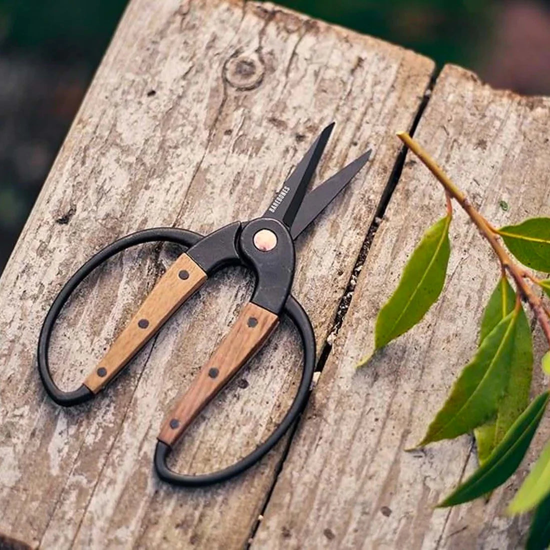 Barebones Garden Scissors