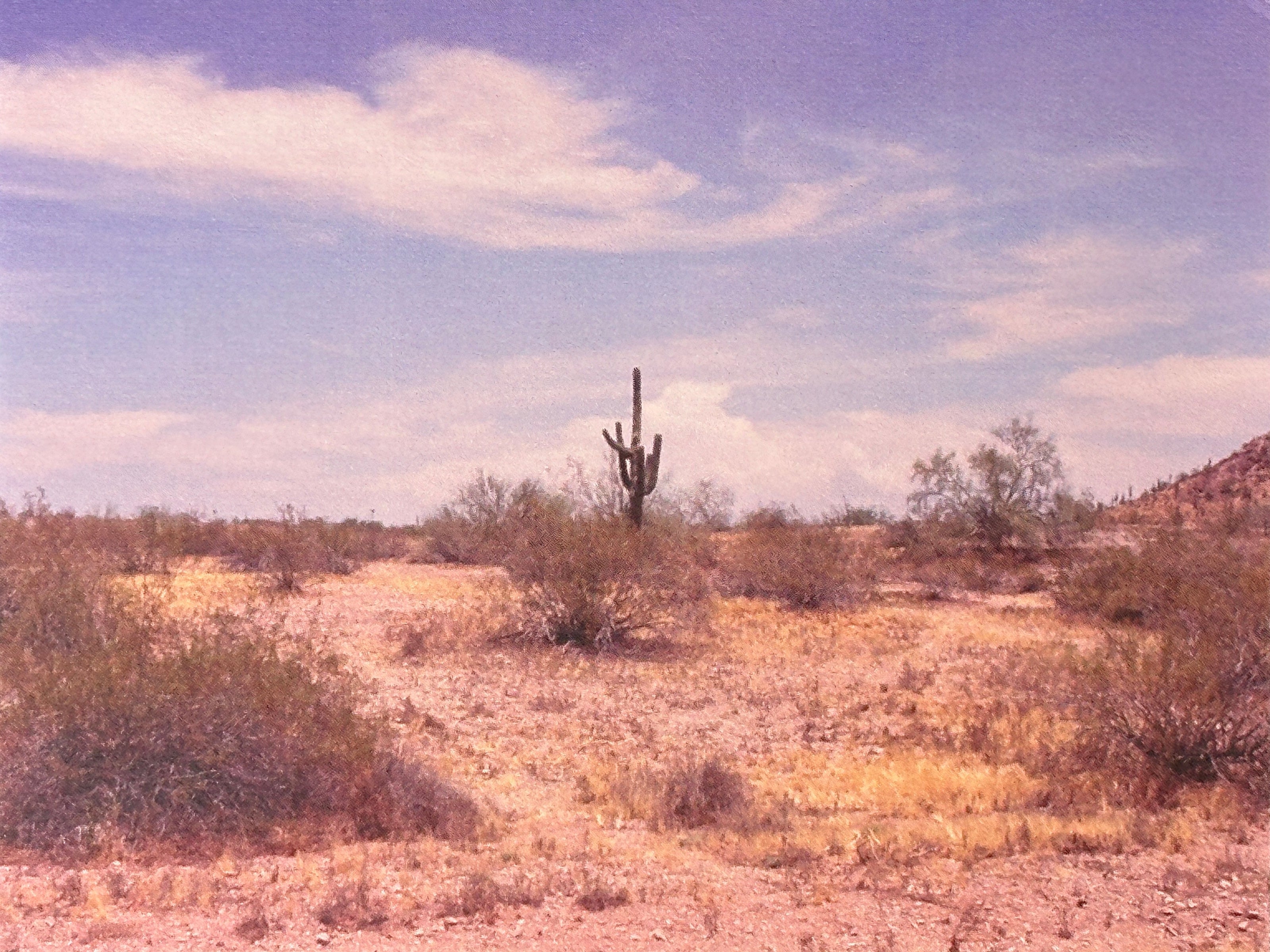 Tatiana Giacinti - Film Photograph Postcard