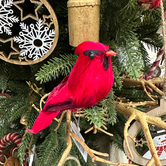 Cardinal Feathered Clip On