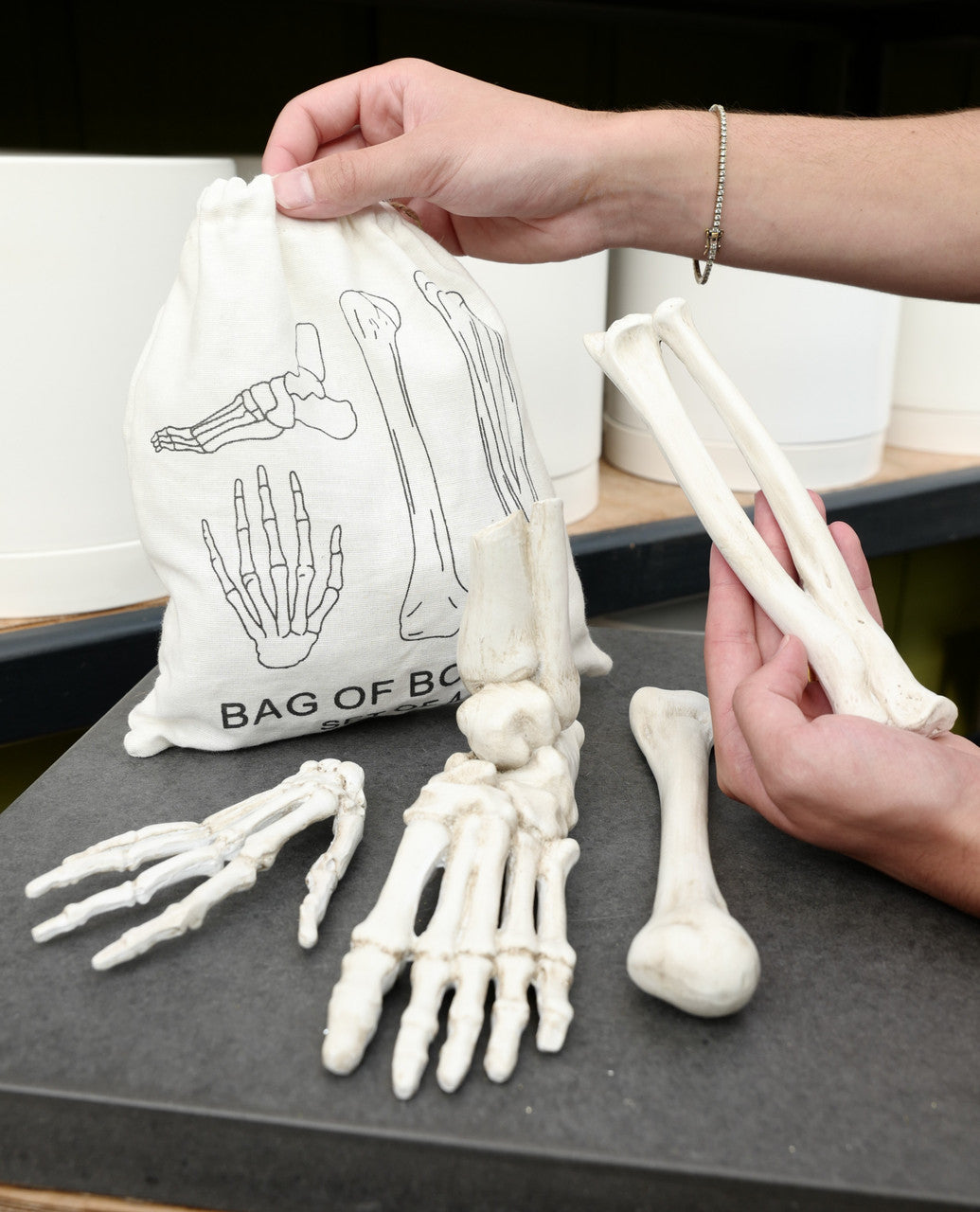 Creative Co-op - Resin Bag of Bones, white Set 4 in Drawstring Bag