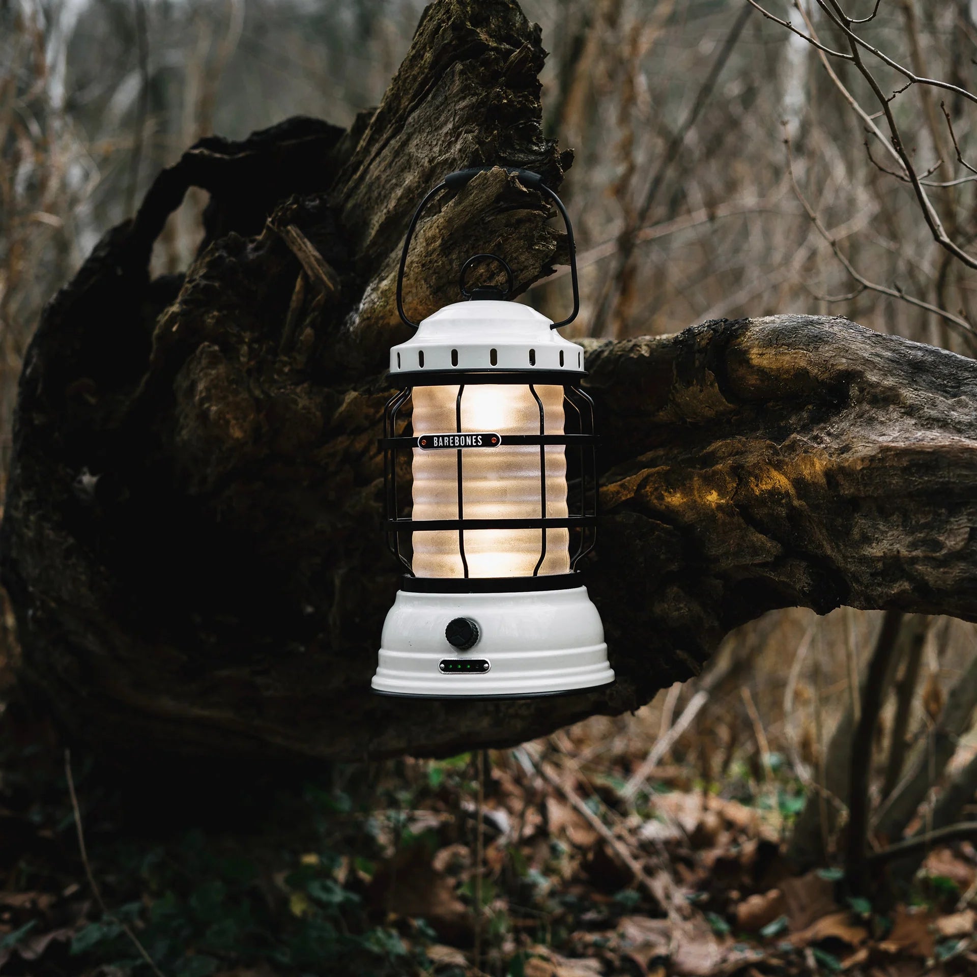 Barebones - Forest Lantern