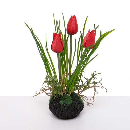 Red Tulip w/Grass