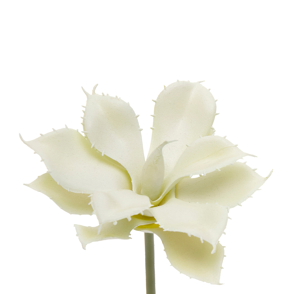 Agave Butterfly Cream Mini Pick