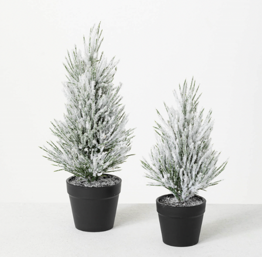 Flocked Tabletop Pine Trees