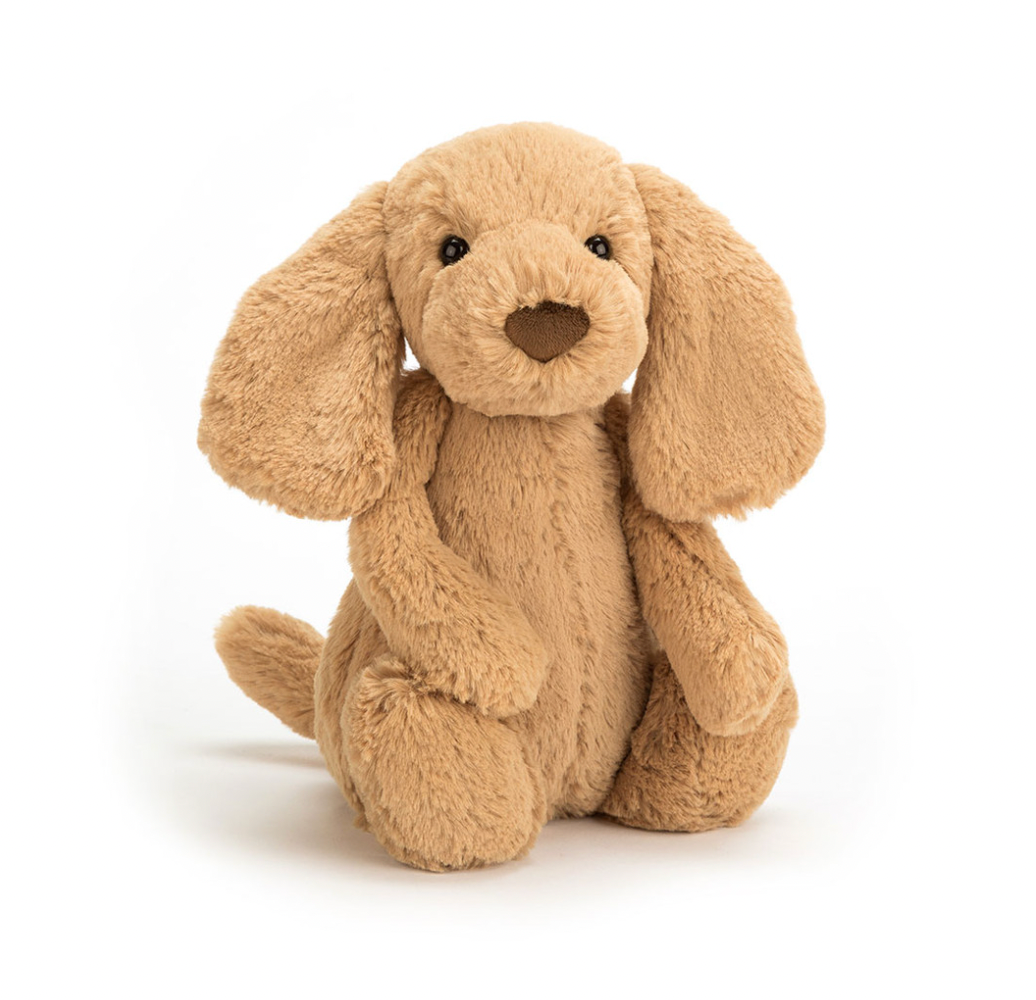 Jellycat Bashful Toffee Puppy