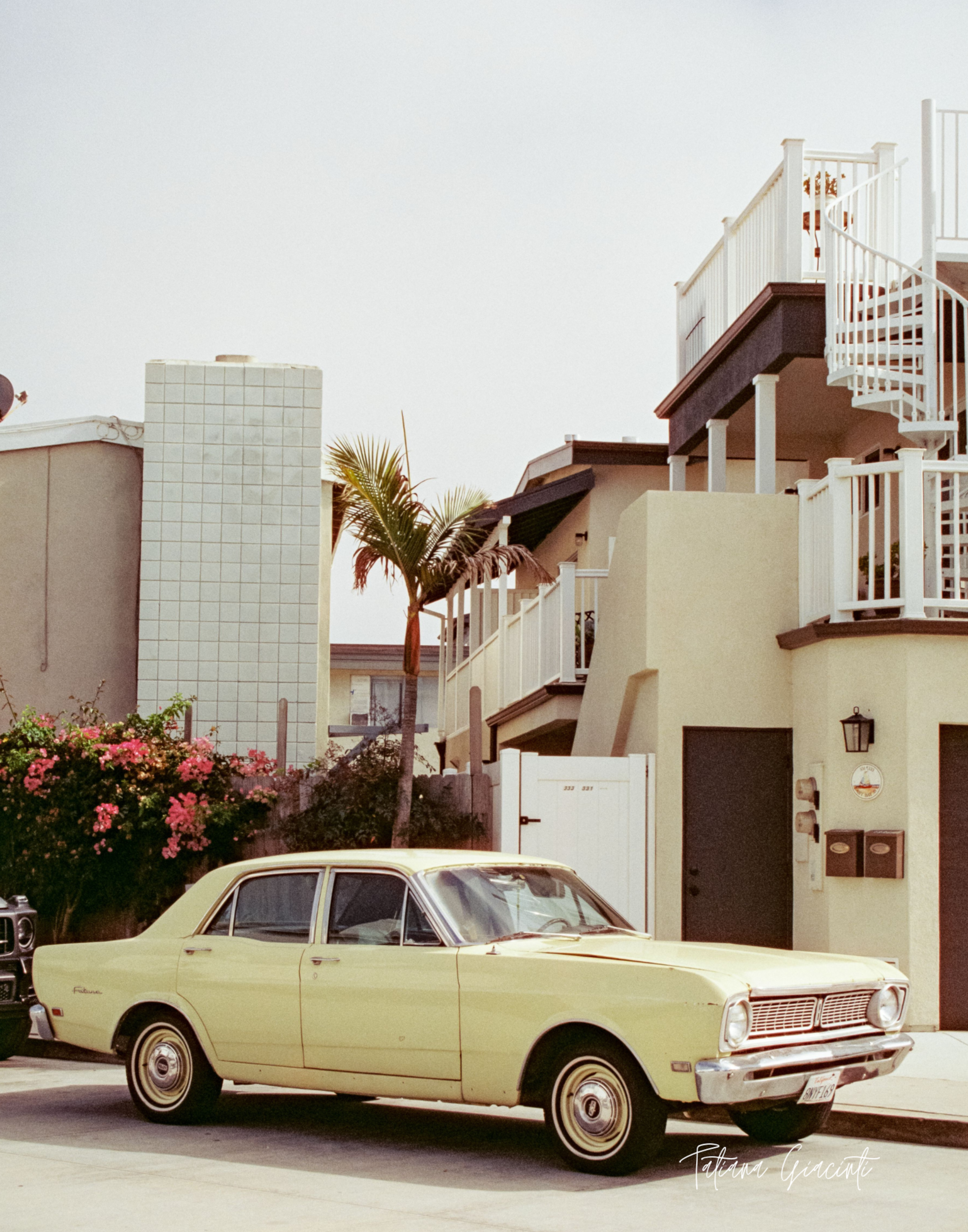 Tatiana Giacinti - 8x12 Film Photography Print