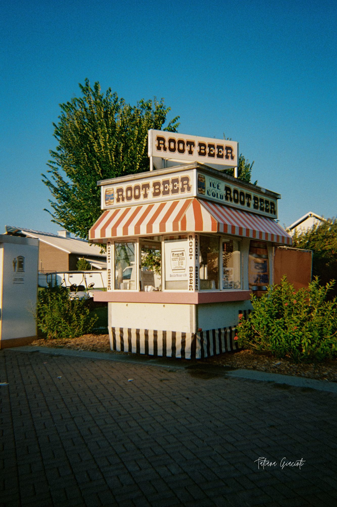 Tatiana Giacinti - 8x10 Film Photography Print