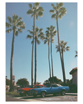 Tatiana Giacinti - 8x10 Film Photography Print