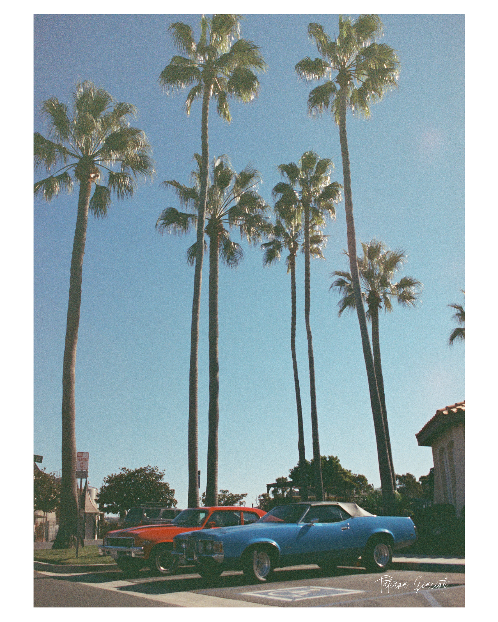 Tatiana Giacinti - 8x10 Film Photography Print