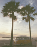 Tatiana Giacinti - 8x10 Film Photography Print