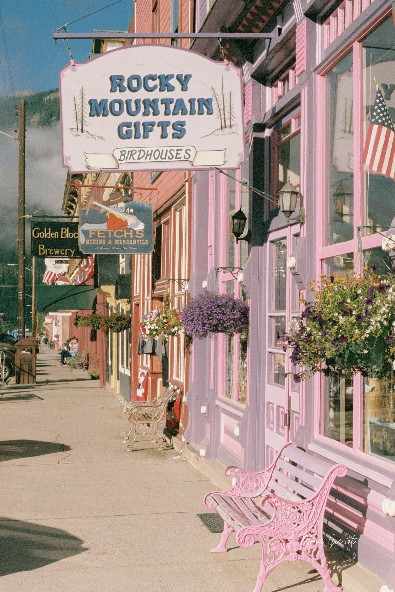 Tatiana Giacinti - 8x10 Film Photography Print