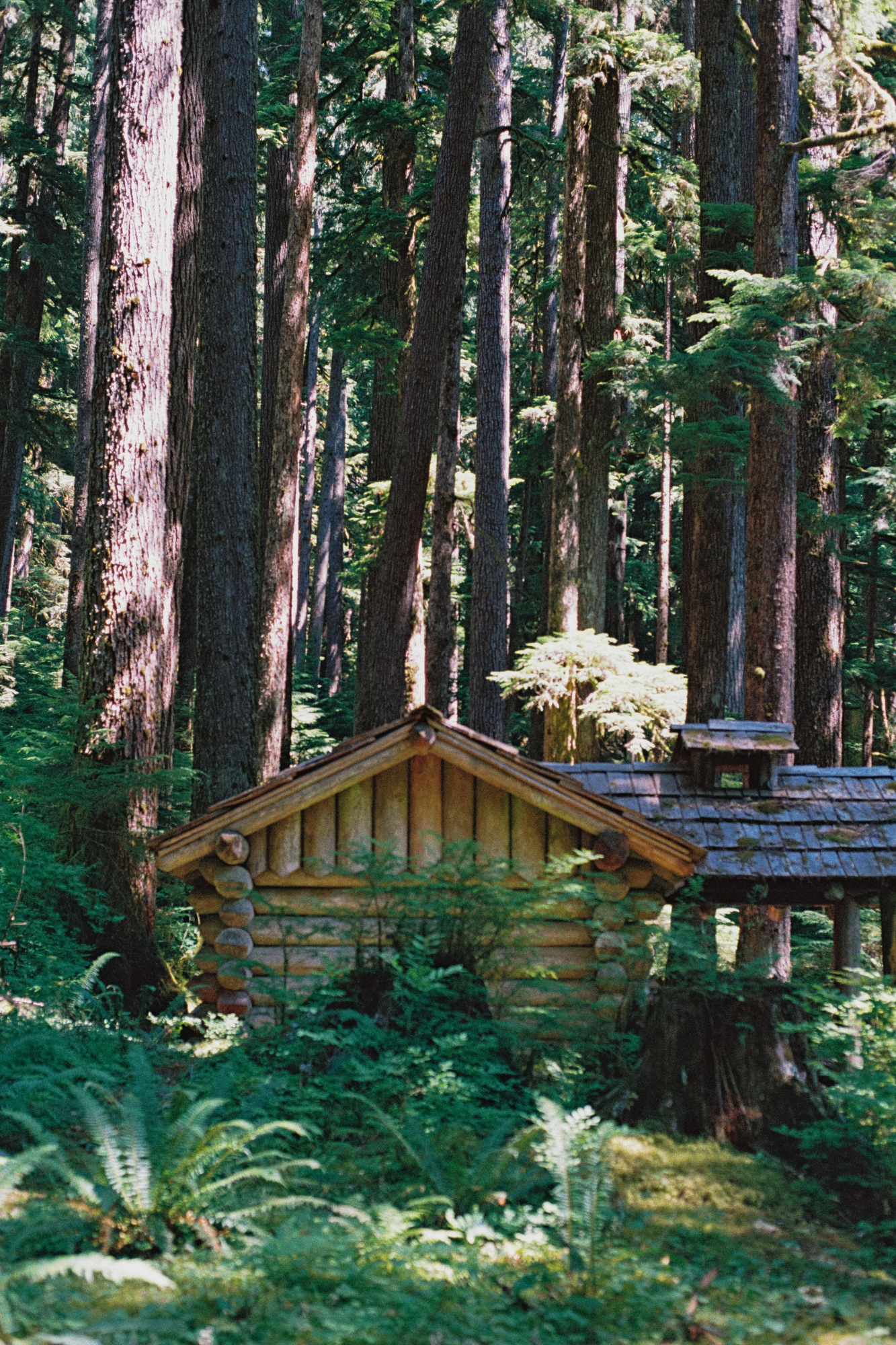 Tatiana Giacinti - 8x10 Film Photography Print