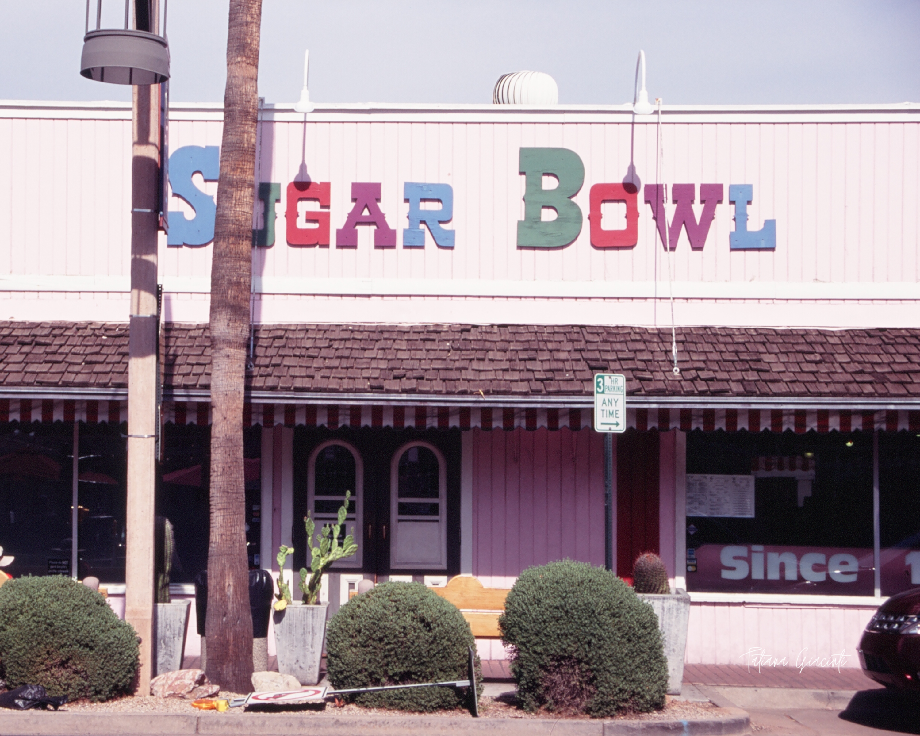 Tatiana Giacinti - 8x10 Film Photography Print