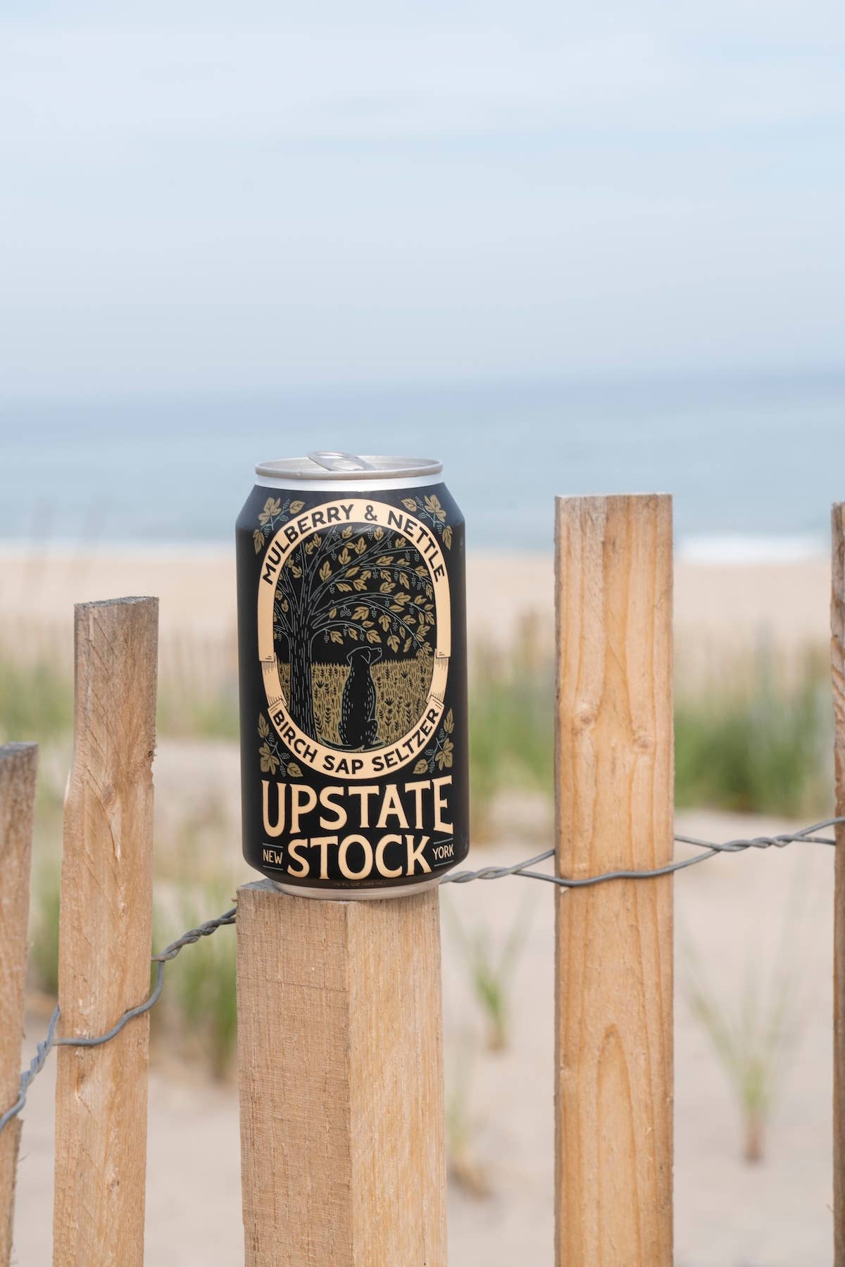 Upstate Stock - Mulberry & Nettle Birch Sap Seltzer