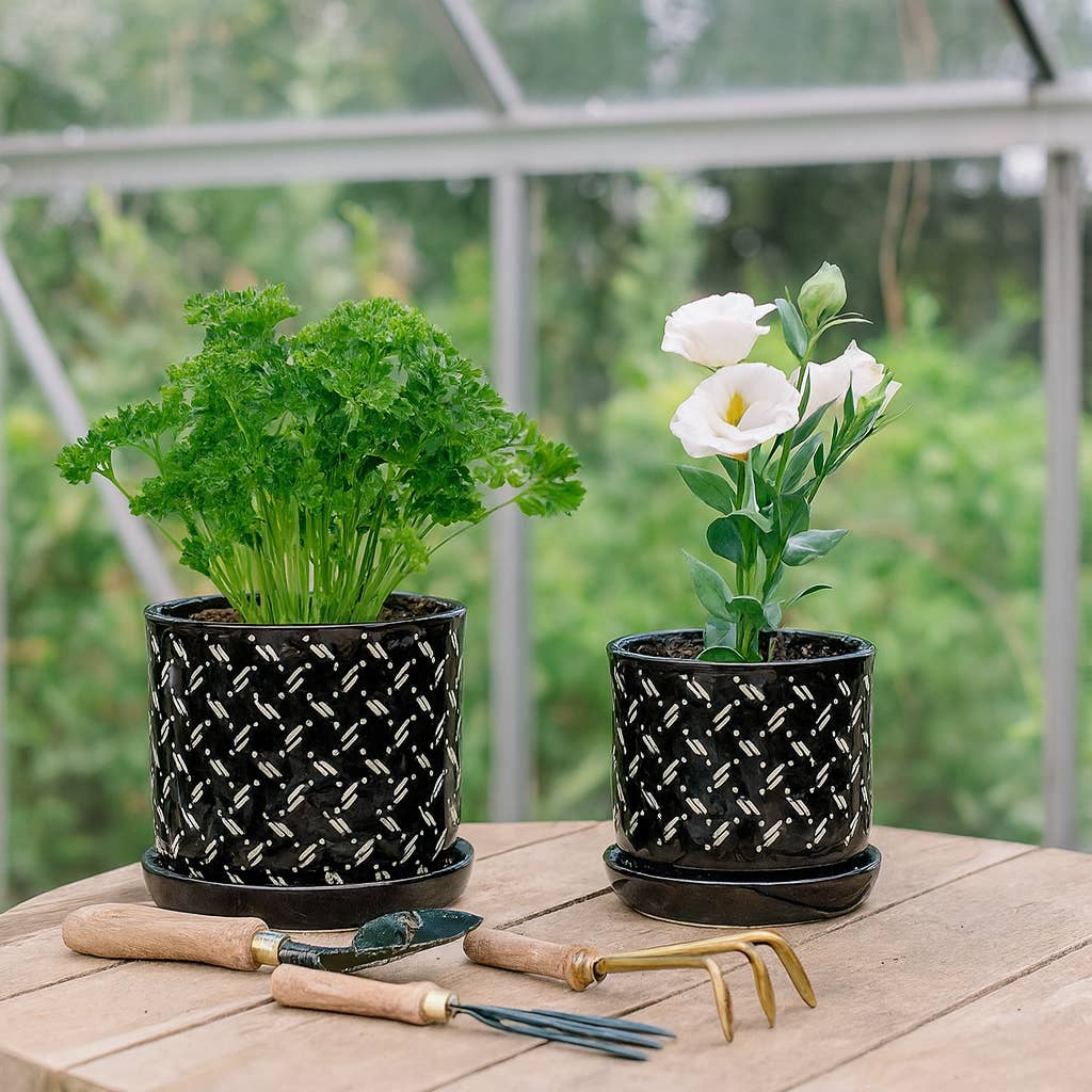 Sagebrook Home - Black Round Dots Planter With Saucer