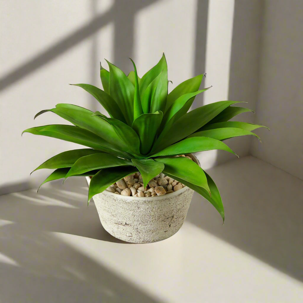 1.5’ Agave Succulent Artificial Plant in White Planter