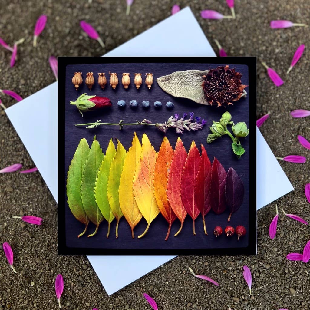 Sarah Smiles Creations - Fall Rainbow • Botanical Greeting Card • Nature Art Collage