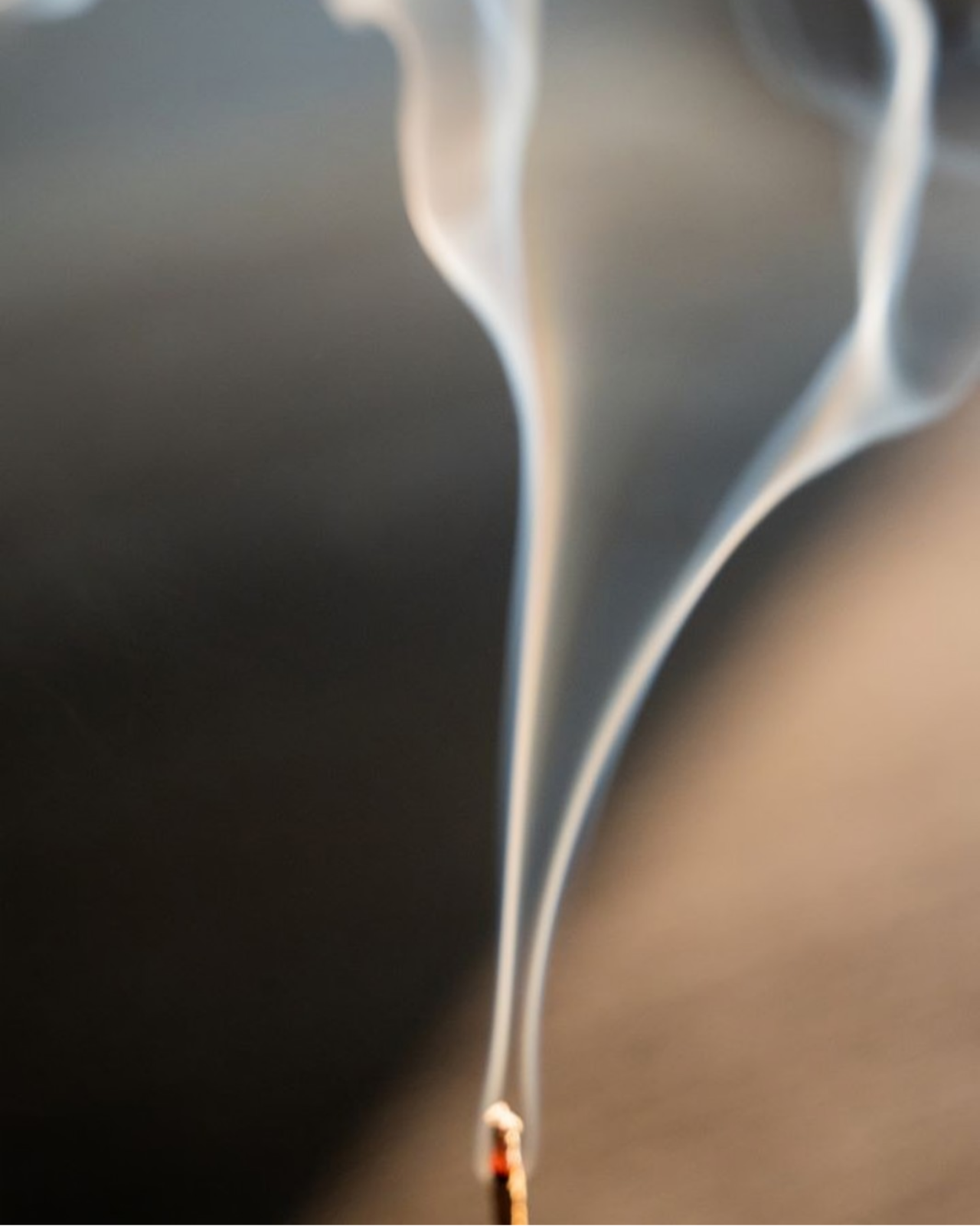 Juniper Ridge - Artemisia Incense (20 Sticks)