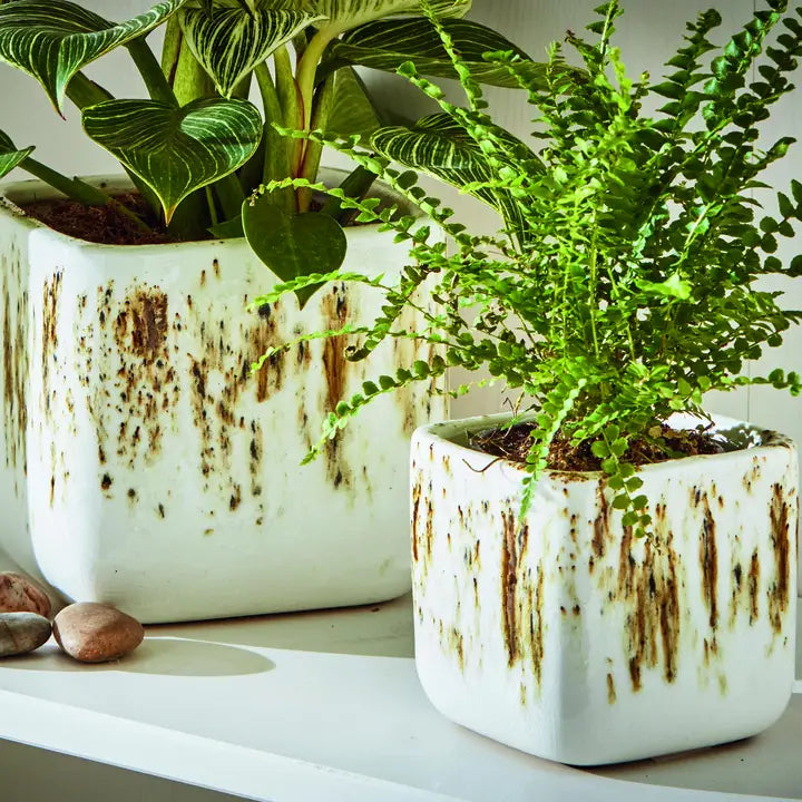 Square Planter - Large