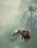 Vigilance. Robert Bateman