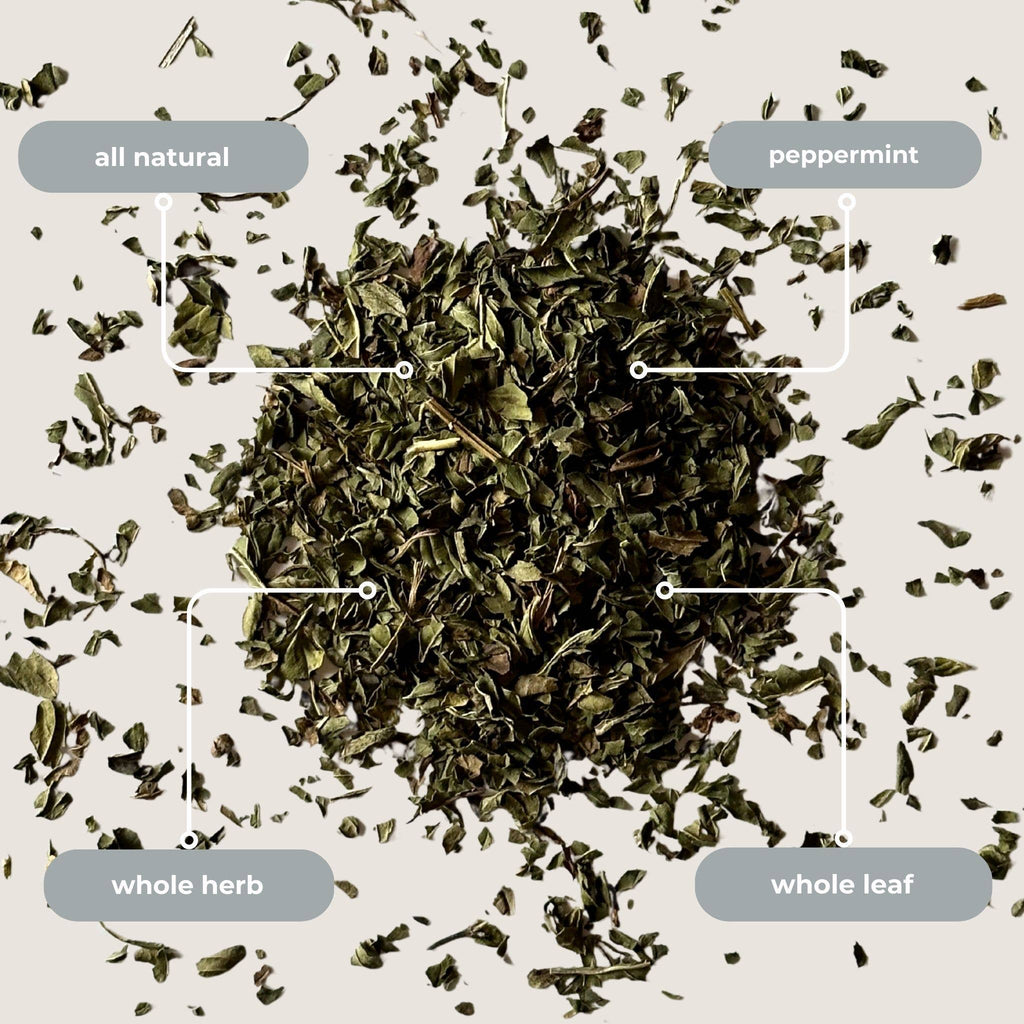 Tea with Tae - Peppermint Herbal Mini Tea Tube Gift (5 tea bags)