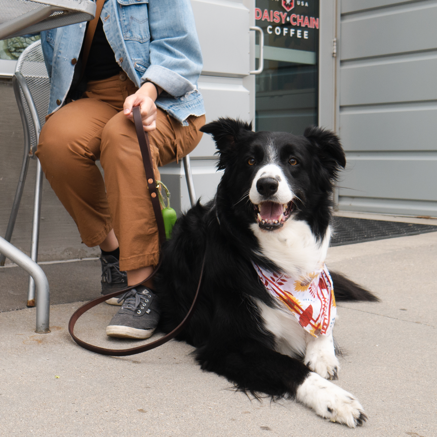 Fontenelle Supply Co. - Leather Dog Leash