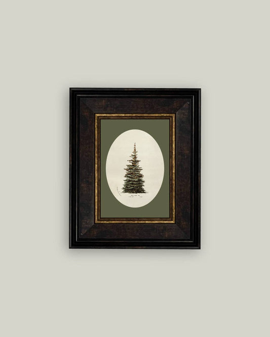 Petal Lane Home - Oval Matte Tree Framed Antique Art