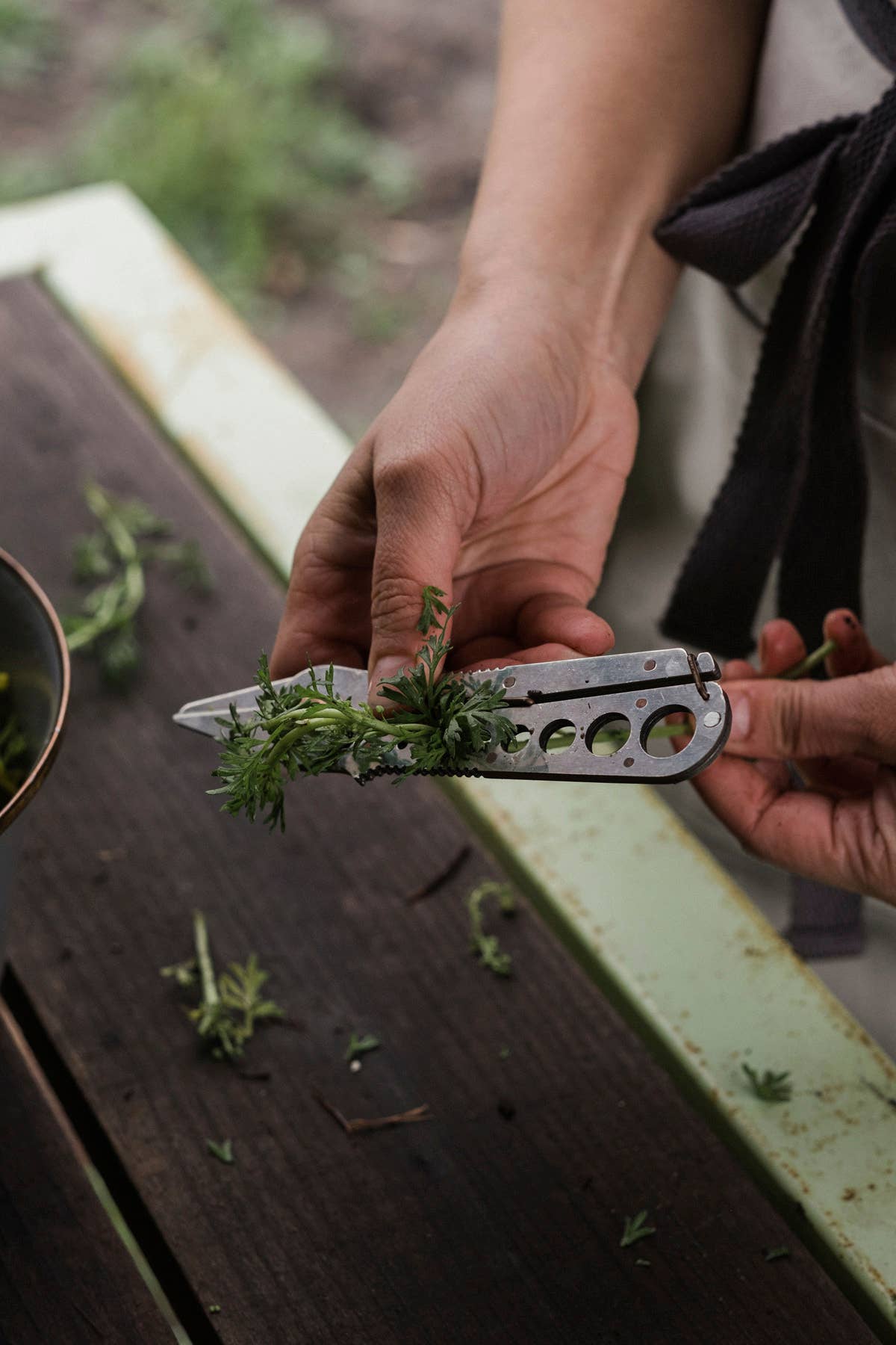 Barebones Herb Harvest + Strip Tool