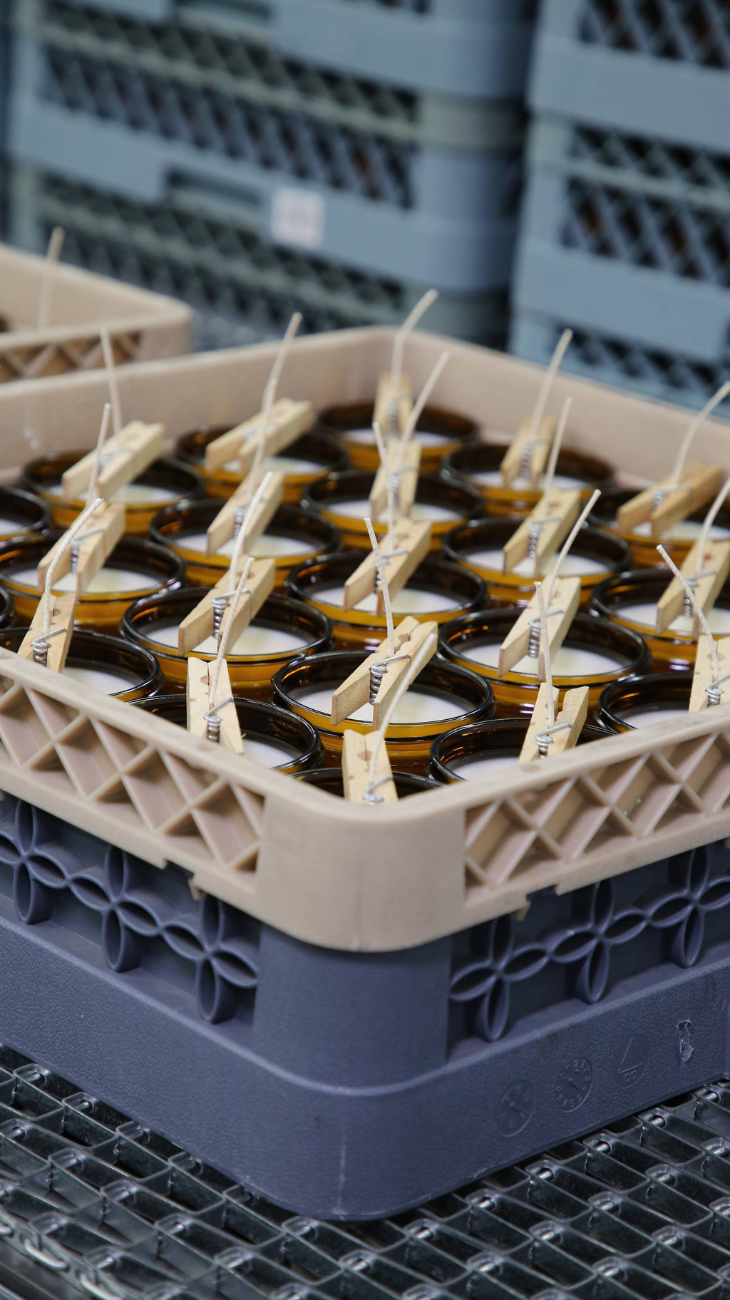 P.F. Candle Co. - Piñon - 7.2 oz Standard Soy Candle