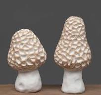 Morel Mushrooms - (2) Sizes