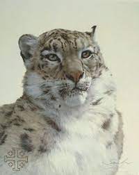 Snow Leopard, Peter Skirka