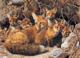 Full House - Fox Family, Carl Brenders