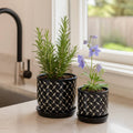 Sagebrook Home - Black Round Dots Planter With Saucer