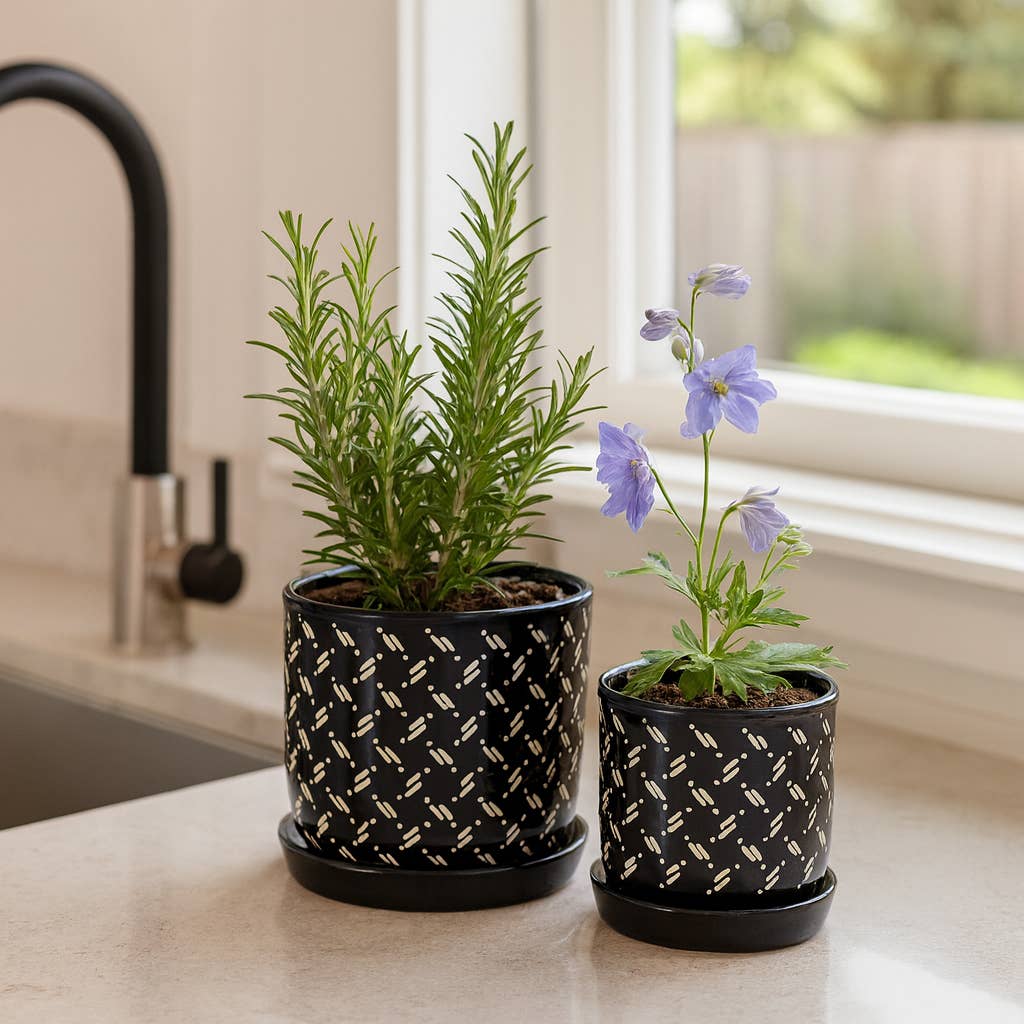Sagebrook Home - Black Round Dots Planter With Saucer