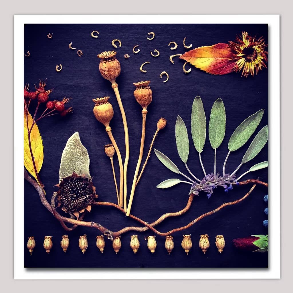 Sarah Smiles Creations - Fall Magic • Botanical Greeting Card • Nature Art Photo