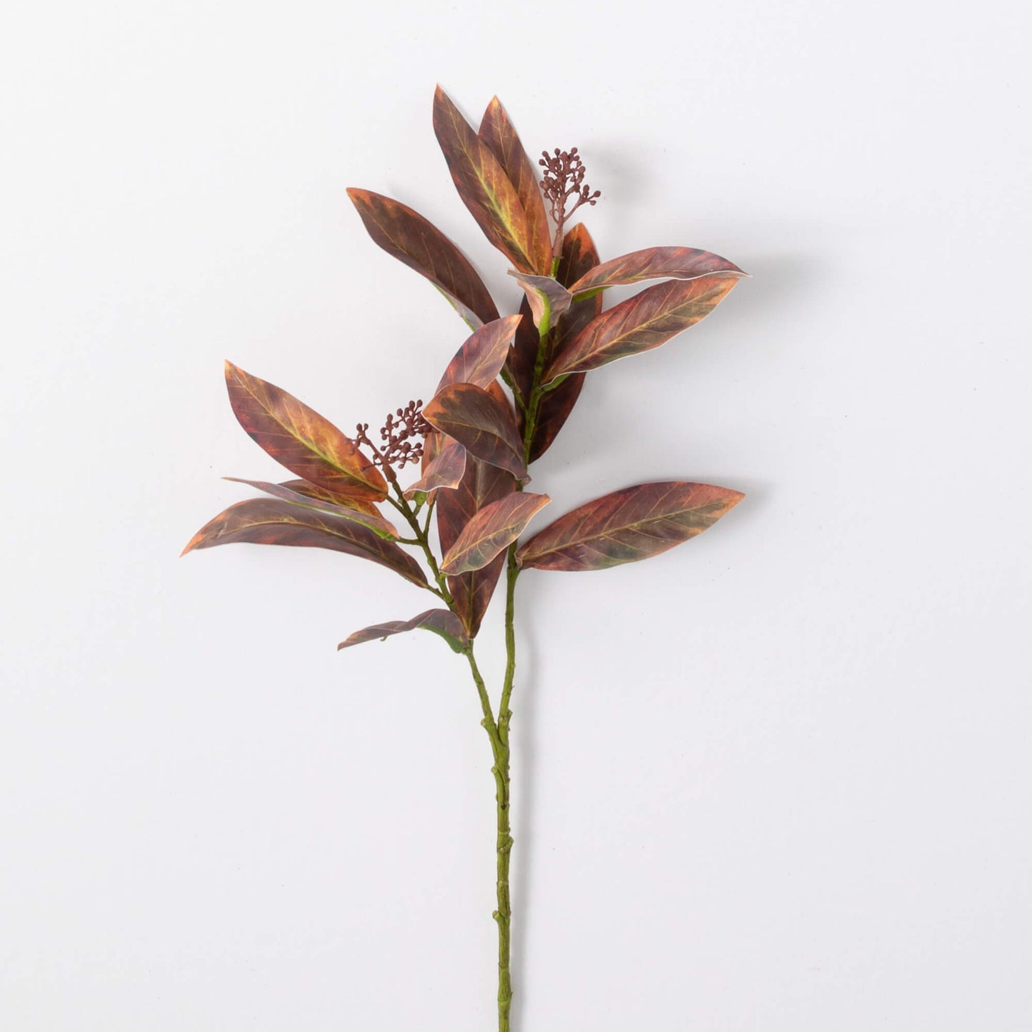 Leaf  Seed Spray