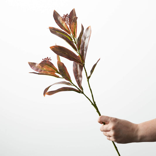 Leaf  Seed Spray