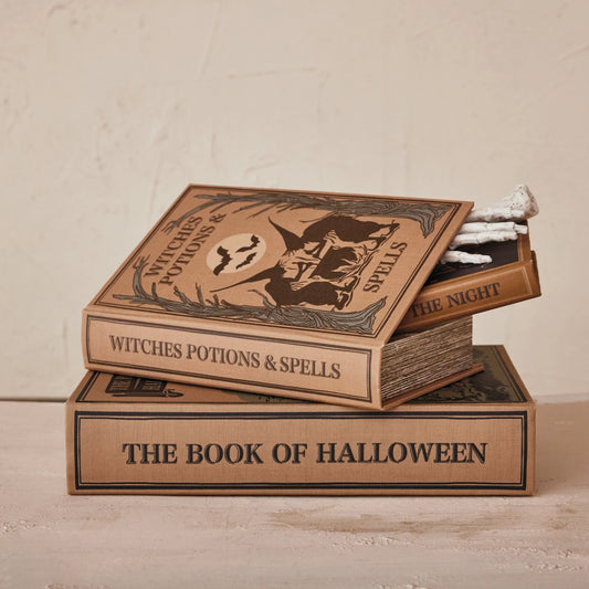 Creative Co-Op - Halloween Themed Storage Book Box Set of 3