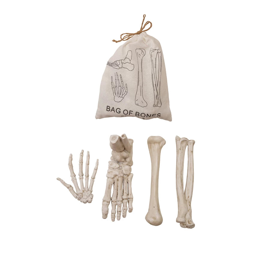 Resin Bag of Bones, white Set 4 in Drawstring Bag