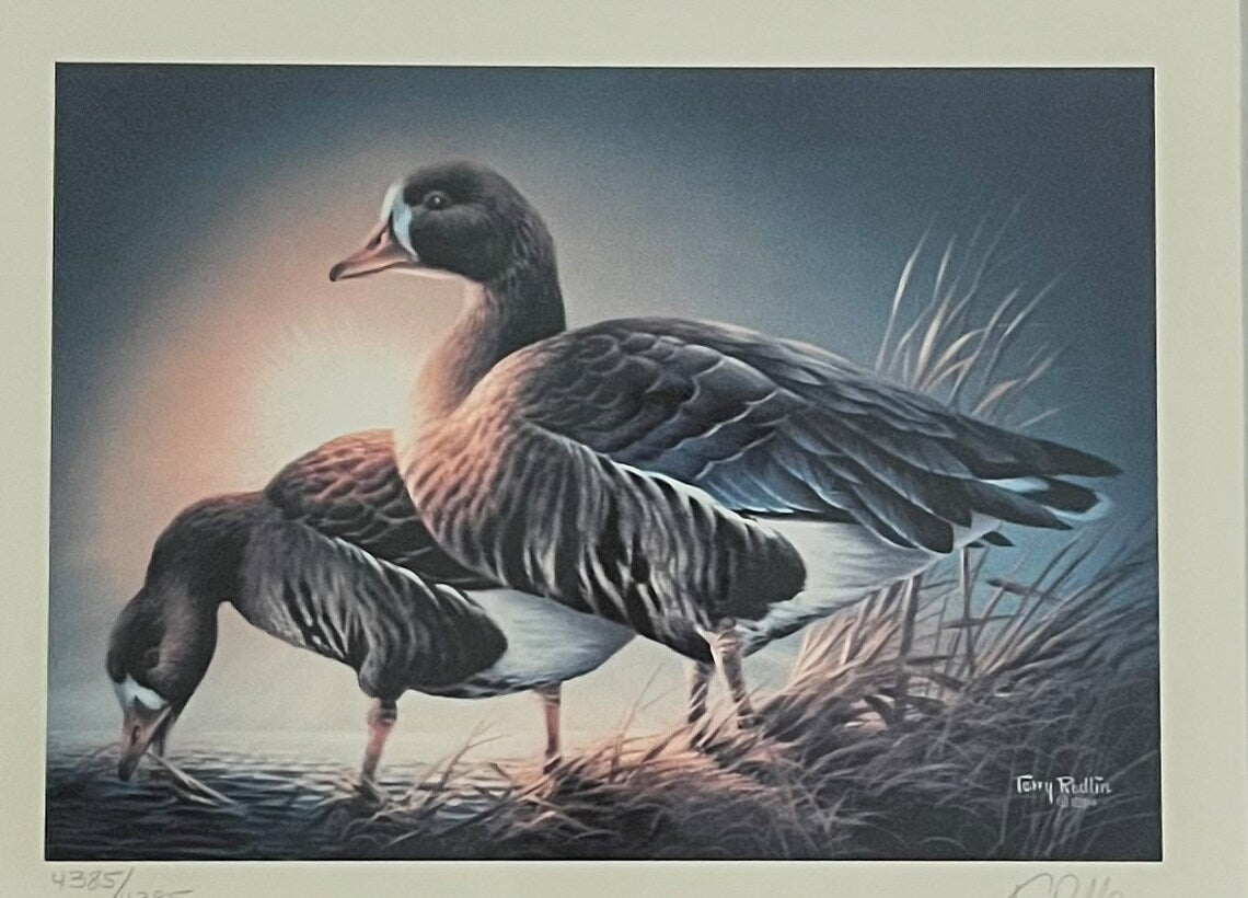 White Fronted Geese, Terry Redlin