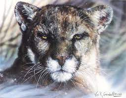 Freezer Burn, Vivi K. Crandall