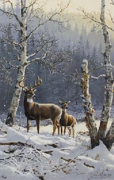 River of Gold-Whitetail Deer,  Persis Clayton Weirs